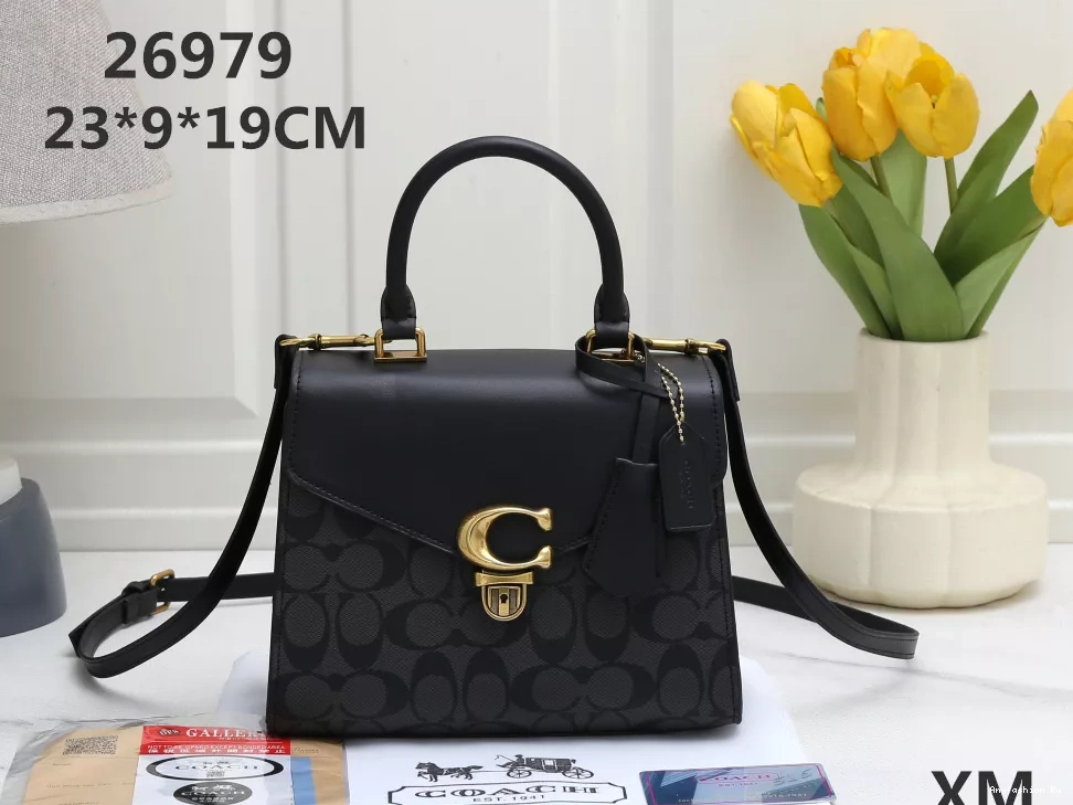 Bag GoodFit Coach Messenger For Women 7343 0923